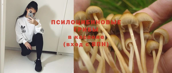 винт Остров