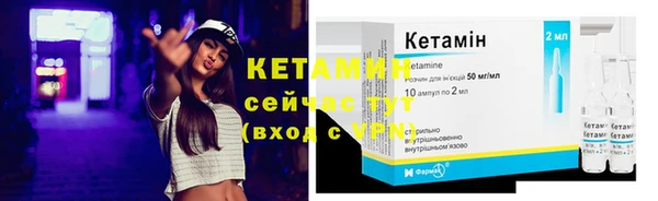 крисы Баксан