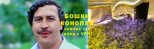 крисы Баксан