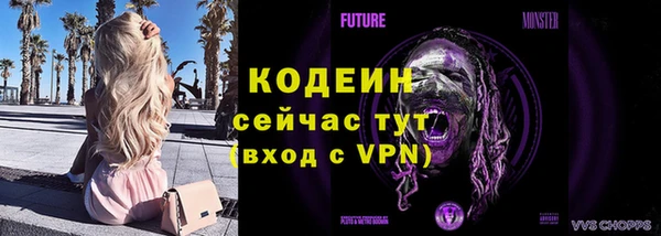 крисы Баксан