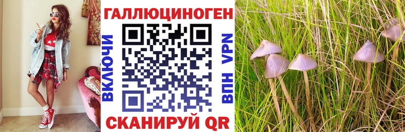Купить закладки  Зеленодольск  Псилоцибиновые грибы Psilocybine cubensis 